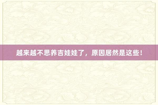 越来越不思养吉娃娃了，原因居然是这些！